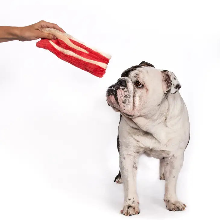 Bacon 3-Pack Dog Toy - 3 Pieces In Each Pack